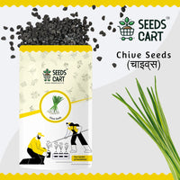 Chive Seeds — fresh herb leaves | Kitchen garden India | SeedsCart