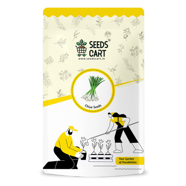 Chive Seeds — seed packet | Buy herb seeds online India | SeedsCart