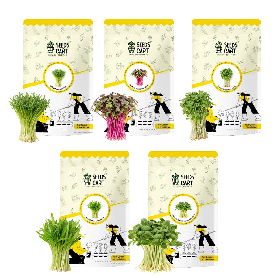 Microgreens Pack (Beetroot, Onion & More)