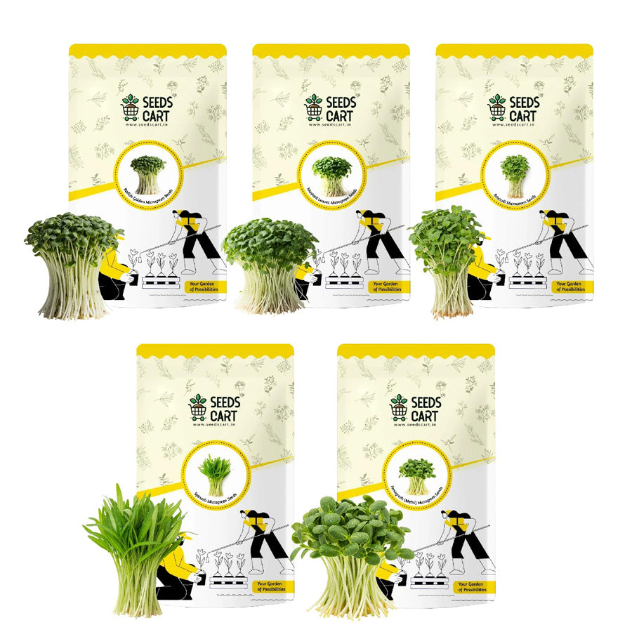 Starter Microgreens Combo (5 Varieties)