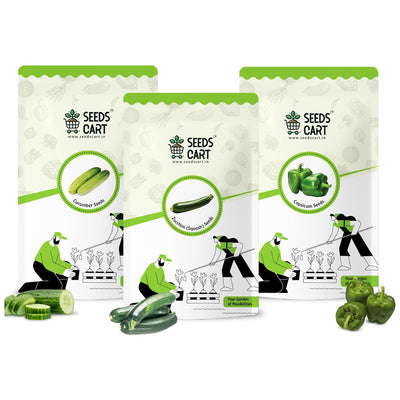 Cucumber, Zucchini & Capsicum Combo Seeds