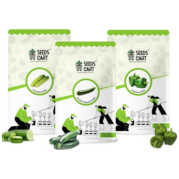 Cucumber, Zucchini & Capsicum Combo Seeds — combo seed pack | Buy seed combo India | SeedsCart