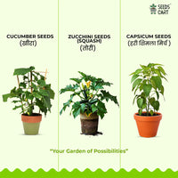 Cucumber, Zucchini & Capsicum Combo Seeds — all included seeds | Multi-variety seed pack | SeedsCart