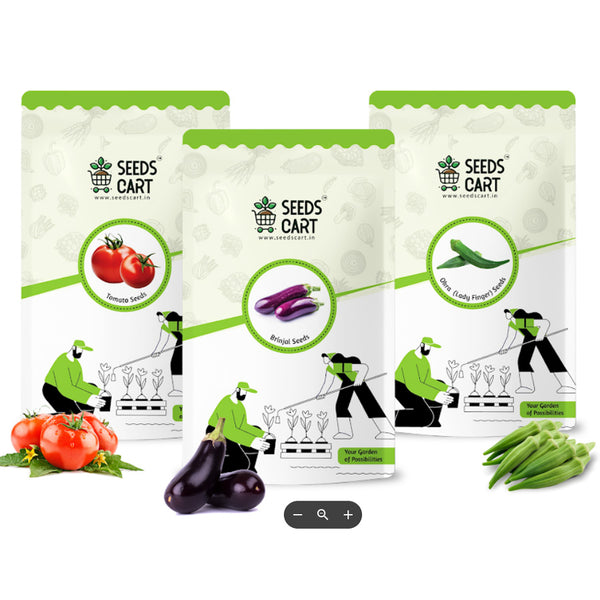 Tomato, Okra & Brinjal Combo Seeds — combo seed pack | Buy seed combo India | SeedsCart
