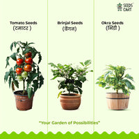 Tomato, Okra & Brinjal Combo Seeds — seed variety pack | Kitchen garden starter kit | SeedsCart