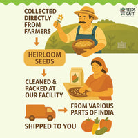 7 Herbs Seeds Combo — all included seeds | Multi-variety seed pack | SeedsCart