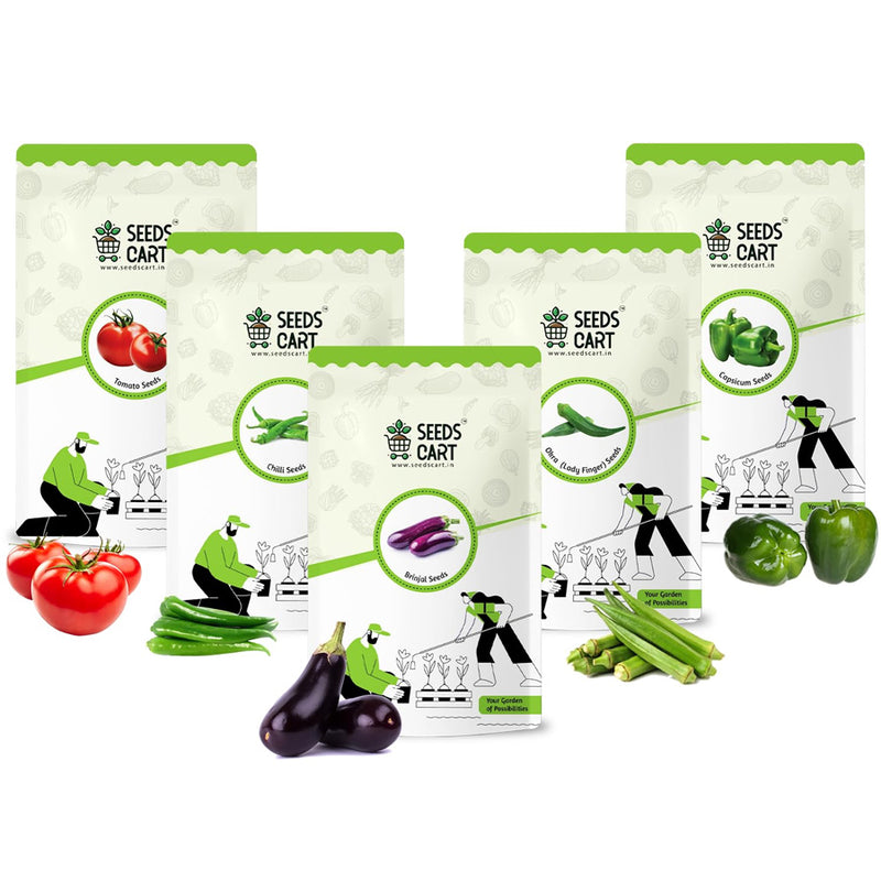 Indian Veggie Combo — combo seed pack | Buy seed combo India | SeedsCart