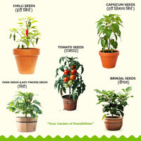 Indian Veggie Combo — all included seeds | Multi-variety seed pack | SeedsCart