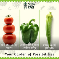 Indian Veggie Combo — seed variety pack | Kitchen garden starter kit | SeedsCart