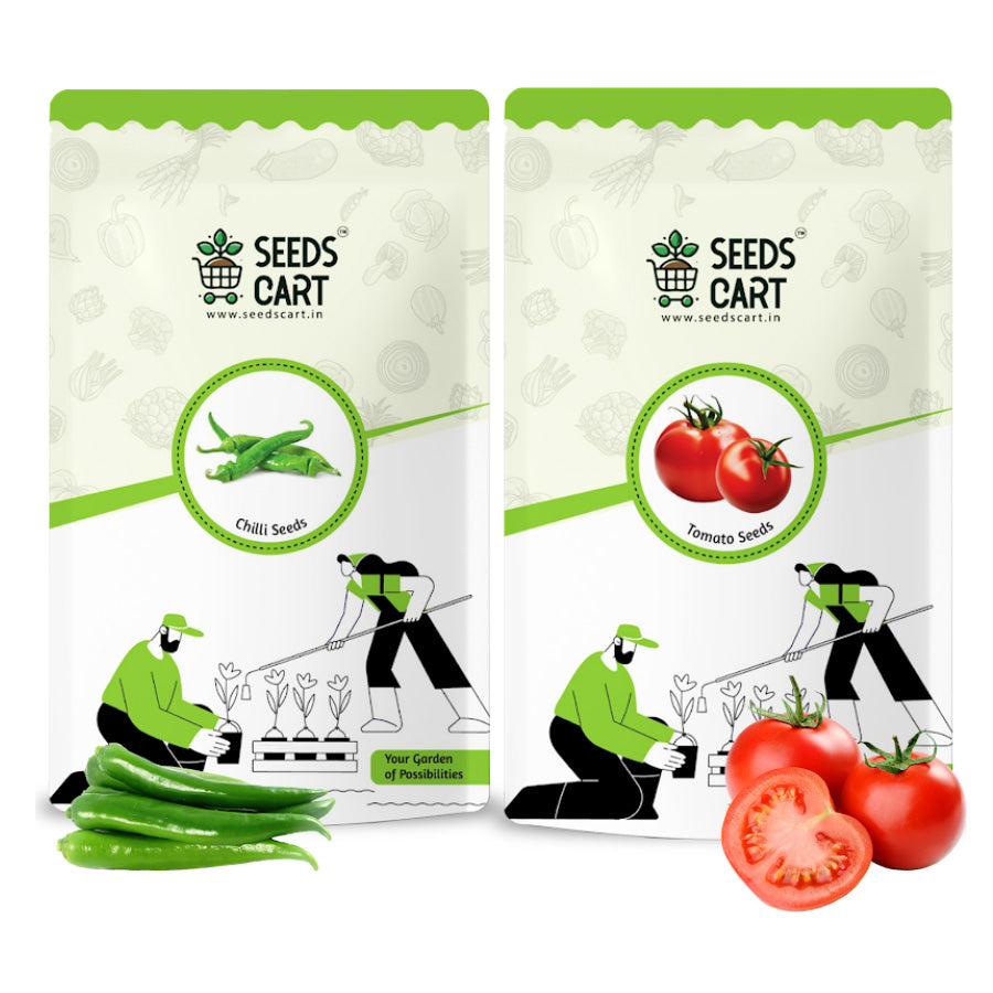 Chilli + Tomato Combo Seeds — combo seed pack | Buy seed combo India | SeedsCart
