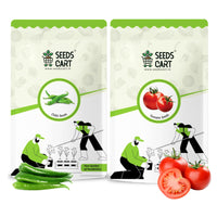 Chilli + Tomato Combo Seeds — combo seed pack | Buy seed combo India | SeedsCart
