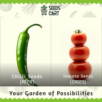 Chilli + Tomato Combo Seeds — all included seeds | Multi-variety seed pack | SeedsCart