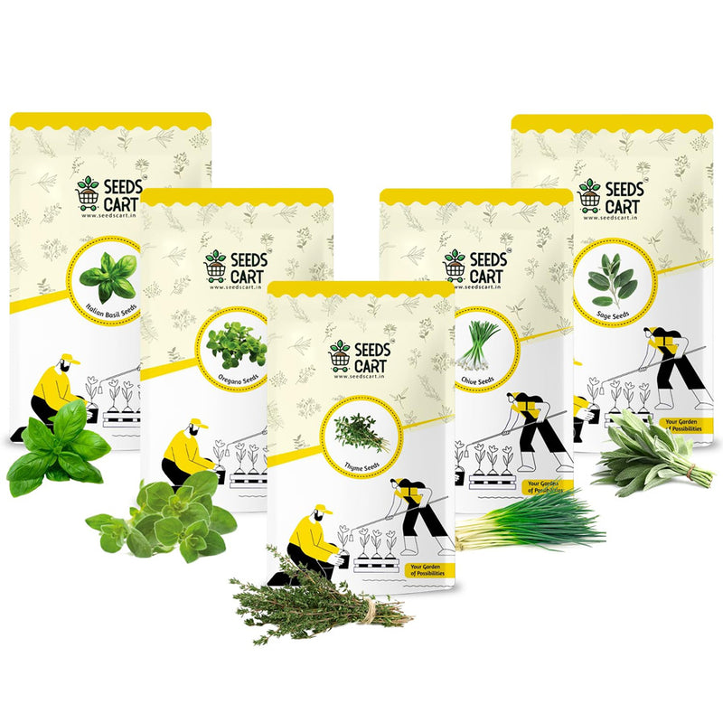 Premium Italian Herb Combo — combo seed pack | Buy seed combo India | SeedsCart