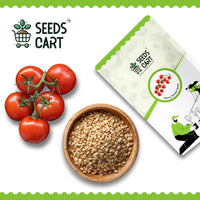 Red Cherry Tomato Seeds — harvest ready plant | Grow at home India | SeedsCart