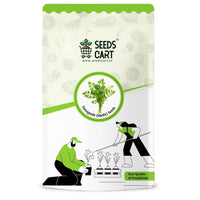 Methi Seeds — seed packet | Buy vegetable seeds online India | SeedsCart