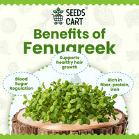 Methi Seeds — seeds close-up | High germination rate | SeedsCart