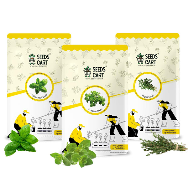 Italian Herb Trio — seed packet | Buy herb seeds online India | SeedsCart