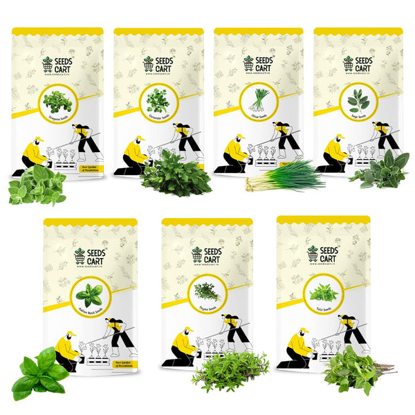 7 Herbs Seeds Combo — combo seed pack | Buy seed combo India | SeedsCart
