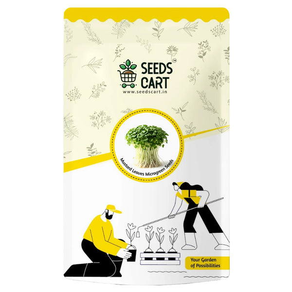 Mustard Leaves Microgreen Seeds — seed packet | Buy microgreens seeds India | SeedsCart