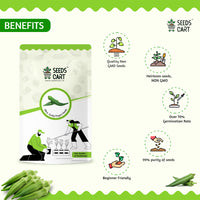 Okra Seeds — mature plant in pot | Kitchen garden seeds | SeedsCart