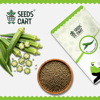 Okra Seeds — harvest ready plant | Grow at home India | SeedsCart