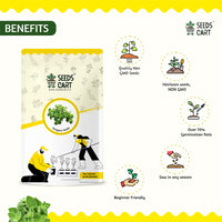 Italian Herb Trio — herb seeds | Medicinal herb seeds India | SeedsCart