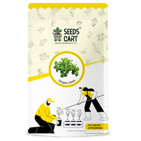 Oregano Seeds — seed packet | Buy herb seeds online India | SeedsCart