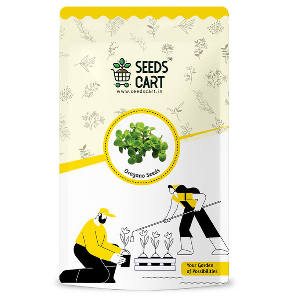 Oregano Seeds — seed packet | Buy herb seeds online India | SeedsCart