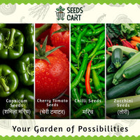8-in-1 Vegetable Seeds Combo — growing plants from combo | Home garden India | SeedsCart