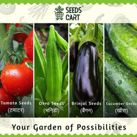 8-in-1 Vegetable Seeds Combo — combo pack contents | Non-GMO seed combo | SeedsCart
