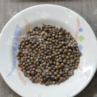 Pterocarpus marsupium Seeds (Bijasal or the Indian Kino Tree)