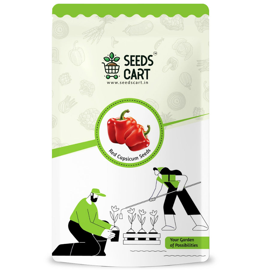 Red Capsicum Seeds — seed packet | Buy vegetable seeds online India | SeedsCart
