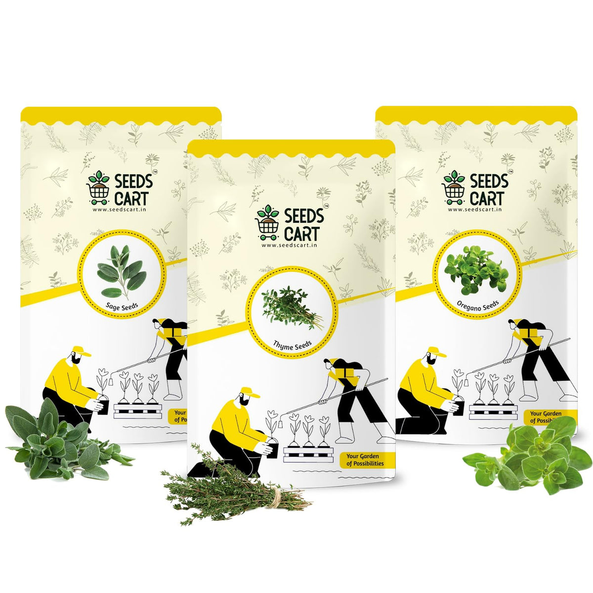 Gourmet Herb Mix — seed packet | Buy herb seeds online India | SeedsCart