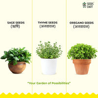 Gourmet Herb Mix — herb plant growing | Non-GMO herb seeds | SeedsCart