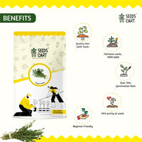 Gourmet Herb Mix — herb plant close-up | ISF certified seeds | SeedsCart