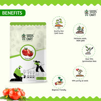 Tomato Seeds — mature plant in pot | Kitchen garden seeds | SeedsCart