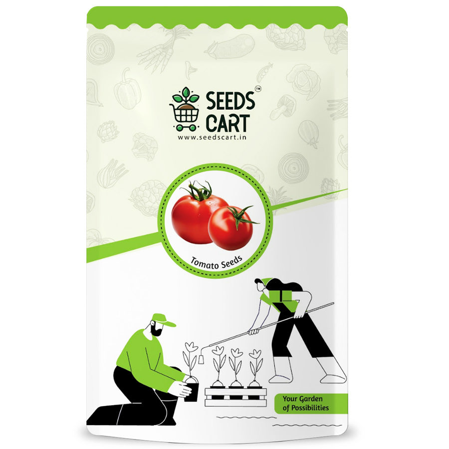 Tomato Seeds — seed packet | Buy vegetable seeds online India | SeedsCart