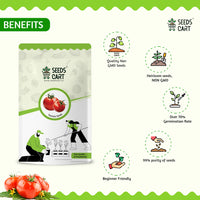 Tomato, Okra & Brinjal Combo Seeds — growing plants from combo | Home garden India | SeedsCart