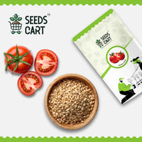 Tomato Seeds — harvest ready plant | Grow at home India | SeedsCart