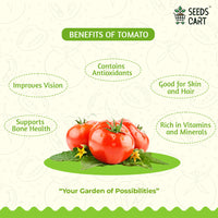 Tomato Seeds — seeds close-up | High germination rate | SeedsCart