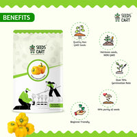 Yellow Capsicum Seeds — seeds close-up | High germination rate | SeedsCart