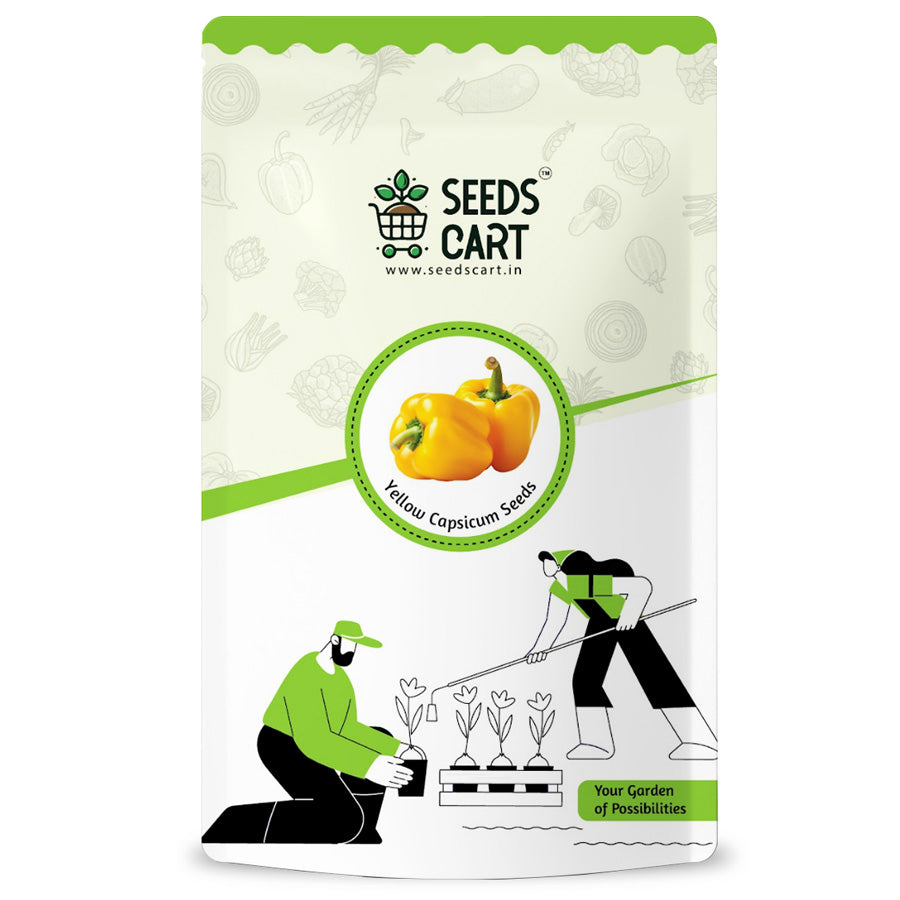 Yellow Capsicum Seeds — seed packet | Buy vegetable seeds online India | SeedsCart