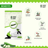 Zucchini Seeds — mature plant in pot | Kitchen garden seeds | SeedsCart